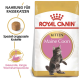 Eine Tüte Royal Canin Maine Coon Kittenfutter mit einer spielerischen Kätzchenillustration, mit Text, der maßgeschneiderte Kroketten und gesundes Wachstum hervorhebt.