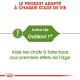 Nourriture pour chats 7+, étiquetée 'Active Life Outdoor 7+', conçue pour aider à lutter contre les effets du vieillissement précoce.