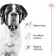SHN Giant Adult 15 kg
