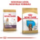 Zwei Royal Canin Hundefutterbeutel: "Junior Cocker" und "Puppy Cocker," mit "NOUVEAU LOOK, NOUVELLE FORMULE" darüber.