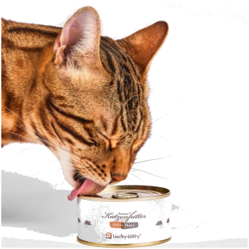 Braun-getigerte Katze leckt an einer Dose mit Aufschrift 'Katzenfutter 100% Maus' mit Lucky-Kitty-Logo.