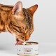 Braun-getigerte Katze leckt an einer Dose mit Aufschrift 'Katzenfutter 100% Maus' mit Lucky-Kitty-Logo.