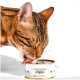 Braun-getigerte Katze leckt an einer Dose mit Aufschrift 'Katzenfutter 100% Maus' mit Lucky-Kitty-Logo.