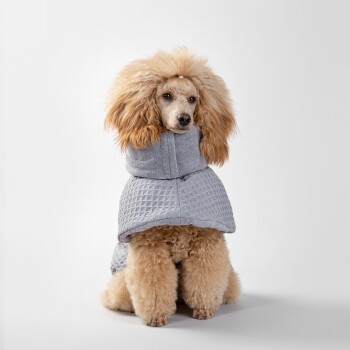 Ein flauschiger Hund trägt einen stylischen grauen Hoodie, der einen strukturierten Stoff und ein gemütliches Design zeigt, von hinten betrachtet.