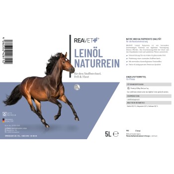 Ein kastanienbraunes Pferd mit einem weißen Stern auf der Stirn steht zwischen hohem Gras und bunten Wildblumen in einem üppigen grünen Feld.