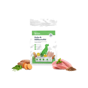 Tüte Felmo Hundefutter mit der Aufschrift 'Huhn & Süßkartoffel', grüner Hundesilhouette sowie Abbildungen von Huhn, Süßkartoffel, Erbsen und Körnern.