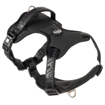 Schwarzes gepolstertes Hundegeschirr mit verstellbaren Riemen, reflektierenden Nähten und Metall-D-Ringen, mit der Aufschrift „Ruffwear“.