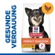 Hill's Science Plan Hundefutterbeutel mit "Perfekte Verdauung" mit Huhn und braunem Reis, als vom Tierarzt empfohlen gekennzeichnet.
