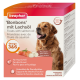 Beaphar 'Bonbons' mit Lachöl Hundeleckerlis Verpackung mit einem Golden Retriever, Lachs und weißen Leckerlis, die die Vorteile von Omega 3 & 6 hervorheben.