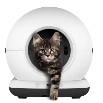 Braun getigertes Kätzchen, das aus der kreisrunden Öffnung einer weißen kugelförmigen automatischen Katzentoilette hervorkommt, Pfote ausgestreckt.