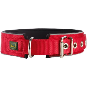 Rotes Hundehalsband mit gepolstertem Innenraum, Metallschnalle und D-Ring zur Leinenbefestigung, mit kleinem 'Hunter'-Logo.