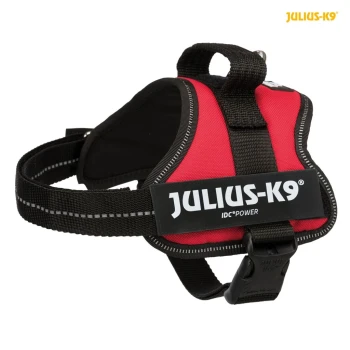 Rotes Julius-K9 IDC Power Hundegeschirr mit schwarzen Riemen und Logo, mit einem stabilen Griff und verstellbarer Schnalle.