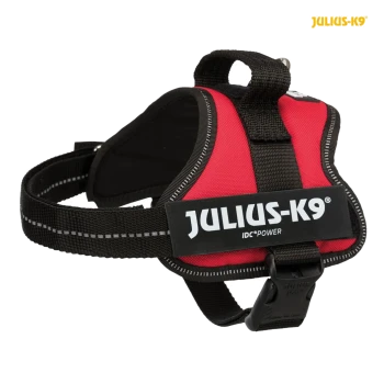 Rotes Julius-K9 IDC Power Hundegeschirr mit schwarzen Riemen und Logo, mit einem stabilen Griff und verstellbarer Schnalle.