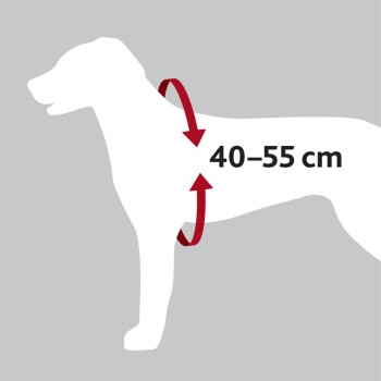 Illustration einer Hundesilhouette mit Maßpfeilen, die einen Größenbereich von 40-55 cm angeben, vor einem grauen Hintergrund.