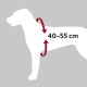 Illustration einer Hundesilhouette mit Maßpfeilen, die einen Größenbereich von 40-55 cm angeben, vor einem grauen Hintergrund.
