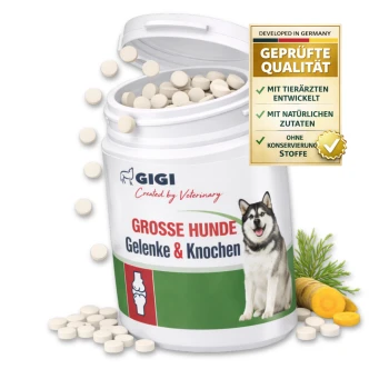 Behälter mit GIGI Gelenktabletten für große Hunde, mit einem Husky und dem Text "GROBE HUNDE Gelenke & Knochen" und "Für mehr Bewegungsfreude."