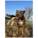 Ein grauer Pitbull hält einen Hasenfuß im Mund, steht auf Stroh mit klarem blauen Himmel und einem Baum im Hintergrund.