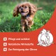 Ein verspielter brauner Hund läuft durch grünes Gras, mit Text, der die Vorteile der Ohrenreinigung, natürliche Zutaten und Schutz hervorhebt.