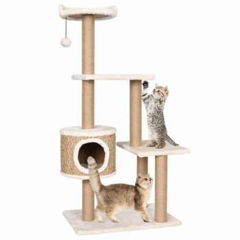 Zwei verspielte Katzen auf einem mehrstöckigen Katzenbaum mit Kratzpfosten, einem gemütlichen Versteck und einem baumelnden Spielzeugball.