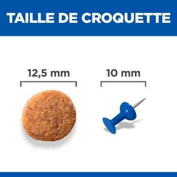 Taille des croquettes pour chien de 12,5 mm comparée à une punaise bleue de 10 mm, avec le texte « TAILLE DE CROQUETTE » au-dessus.