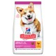 Hill's Science Plan dog food bag featuring a smiling Corgi. Text highlights "Adult 1-6," "Small & Mini up to 10 kg," and "with Chicken."