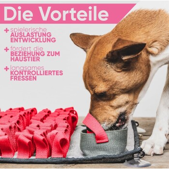 Ein brauner und weißer Hund schnüffelt an einer grauen Fütterungsmatte mit roten Streifen, die die Vorteile von spielerischer Entwicklung und kontrollierter Ernährung hervorhebt.