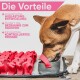 Ein brauner und weißer Hund schnüffelt an einer grauen Fütterungsmatte mit roten Streifen, die die Vorteile von spielerischer Entwicklung und kontrollierter Ernährung hervorhebt.