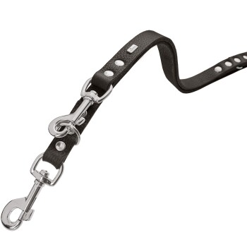 Schwarze Lederhundeleine mit silberner Hardware und dekorativen Nieten.