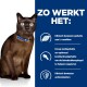 Een bruine kat met groene ogen en een blauwe halsband zit tegen een witte achtergrond naast tekst over gezondheidsvoordelen.