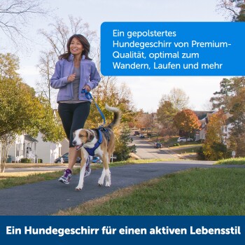 Eine Frau geht mit ihrem Hund auf einem Vorstadtweg, mit einem hochwertigen gepolsterten Geschirr, das ideal für aktive Lebensstile ist.