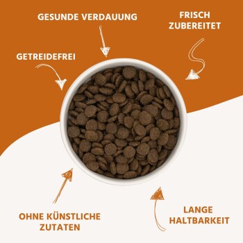 Schüssel mit dunklem Futter mit Etiketten: "Gesunde Verdauung," "Getreidefrei," "Frisch zubereitet," "Keine künstlichen Zutaten," "Lange Haltbarkeit."