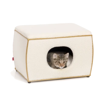 Ein gemütliches weißes Katzenhaus mit goldener Verzierung, mit einer getigerten Katze, die aus der vorderen Öffnung herausblickt.