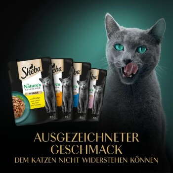 Eine graue Katze leckt sich die Lippen vor Sheba Nassfutterpäckchen mit dem Text über unwiderstehlichen Geschmack für Katzen.