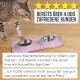 Eine Bengal-Katze nähert sich einer pinken Futtermatte mit zwei Schalen, eine mit Trockenfutter, neben fünf Sternen und deutschen Bewertungen, die das Produkt loben.