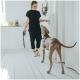 Eine Person in einem schwarzen Outfit hält eine Hundeleine, während sie mit einem grauen Hund in einer hellen Küche mit weißen Böden und Schränken interagiert.