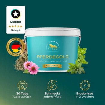 Ein türkisfarbener Behälter mit der Aufschrift "PFERDEGOLD" und dem Untertitel "Ergänzungsfuttermittel für Pferde" sowie "ATEMGLÜCK", umgeben von Kräutern und Blumen.
