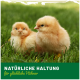 Zwei flauschige gelbe Küken sitzen auf grünem Gras, mit dem Text "NATÜRLICHE HALTUNG für glückliche Hühner" am unteren Rand.