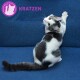 Un chat gris et blanc joueur grattant une surface en tissu bleu, avec le texte "KRATZEN" en violet au-dessus.