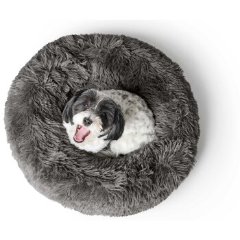 Ein kleiner, glücklicher Hund mit schwarz-weißen Fell gähnt, während er in einem flauschigen, runden grauen Hundebett sitzt.