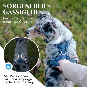 Nahaufnahme eines Hundes in einem blauen reflektierenden Geschirr, das von einer Person gehalten wird. Text: "Sorgenfreies Gassigehen" und "Bequemer Griff für Kontrolle."