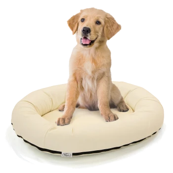 Ein Golden Retriever Welpe sitzt auf einem runden, cremefarbenen Hundebett mit schwarzem Rand, das sein weiches und gemütliches Design zeigt.