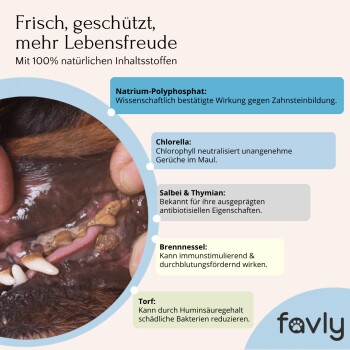 Infografik zur Bewerbung eines Zahnpflegeprodukts für Haustiere mit Anwendungsschritten, Vorteilen für die Mundgesundheit und Zutaten wie Chlorella.