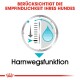 Ein Icon, das einen Wassertropfen und eine Maßstab zeigt, mit dem Text "Harnwegsfunktion" und einer Überschrift auf Deutsch über die Empfindlichkeit von Hunden.