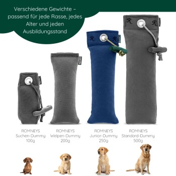 Blaues Stoff-Hundetrainingsdummy mit Seil und grünem Knebel mit der Aufschrift „Romneys“.