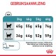 Tabel met dagelijkse voedingsrichtlijnen voor ideale en overgewicht katten (3kg tot 6kg), met aantekeningen over water- en energie-inhoud.