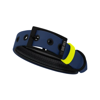 Ein blauer Hundehalsband mit einer schwarzen Schnalle und einem leuchtend gelben Akzent, mit dem Text 'THE DOG IDEA' auf der Schnalle.