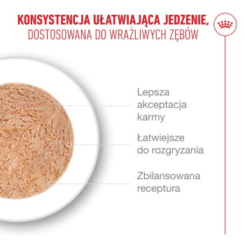 Okrągła porcja karmy na talerzu z polskim nagłówkiem 'Konsystencja ułatwia jedzenie przy wrażliwych zębach' i trzema punktami.