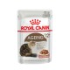 Pochette de nourriture pour chat Royal Canin Ageing pour chats seniors de 12 ans et plus, avec une image de chat et du texte en plusieurs langues.