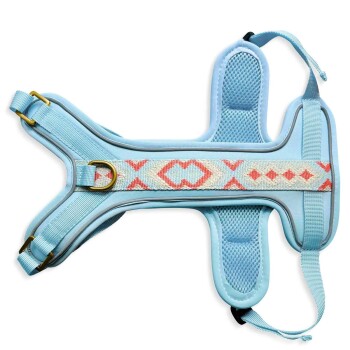 Helle blaue Hundegeschirr mit einem dekorativen gemusterten Riemen, ausgestattet mit verstellbaren Clips und einem D-Ring zur Leinenbefestigung.