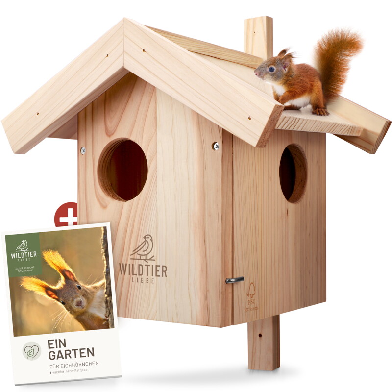 wildtier liebe Eichhörnchen Kobel